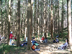 BNC0003887_003_d.jpg